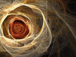 Fototapeta Abstrakcyjna spirala z różami