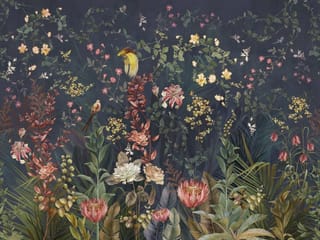 Fototapeta Kwiaty polne na ciemnym tle