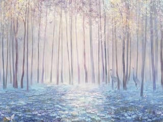 Fototapeta Las z wysokimi drzewami w mgle ( kod: 23503 ) Fototapeta Las z wysokimi drzewami w mgle