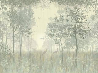 Fototapeta Mglisty Las z Wysokimi Drzewami