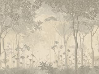 Fototapeta Gęsty Las z Wysokimi Drzewami