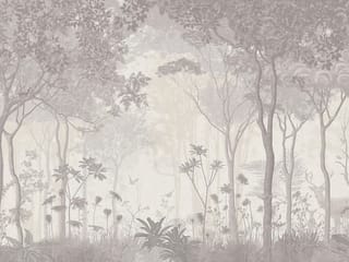 Fototapeta Gęsty las z wysokimi drzewami