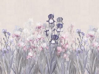 Fototapeta Kolorowe irysy na jasnym tle ( kod: 23618 ) Fototapeta Kolorowe irysy na jasnym tle