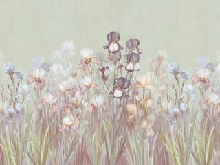 Fototapeta Kwiaty irysów na łące ( kod: 23619 ) Fototapeta Kwiaty irysów na łące