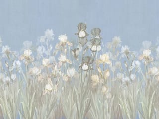 Fototapeta Pole irysów na tle nieba