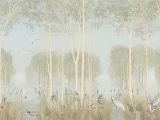 Fototapeta Las z Wysokimi Drzewami i Mgłą