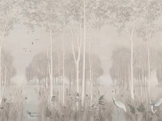 Fototapeta Las z wysokimi drzewami i mgłą