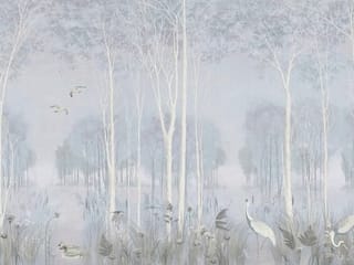 Fototapeta Las z wysokimi drzewami