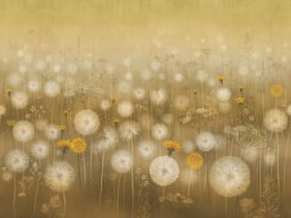 Fototapeta Dmuchawce na łące z żółtymi kwiatami