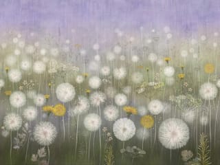 Fototapeta Dmuchawce na łące z fioletowym niebem