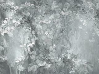 Fototapeta Liście i pnącza w delikatnym świetle