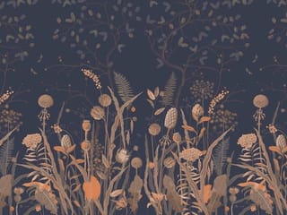 Fototapeta Kwiaty polne na ciemnym tle