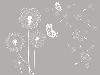 Fototapeta Białe dmuchawce na szarym tle