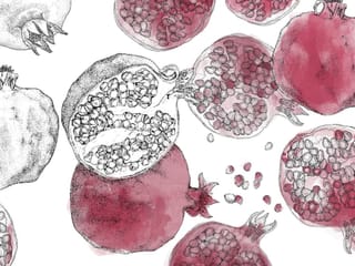 Fototapeta Granaty na białym tle ( kod: 24067 ) Fototapeta Granaty na białym tle