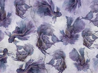 Fototapeta Fioletowe ryby na szarym tle ( kod: 24195 ) Fototapeta Fioletowe ryby na szarym tle