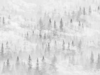 Fototapeta Mglisty las z drzewami iglastymi ( kod: 24479 ) Fototapeta Mglisty las z drzewami iglastymi