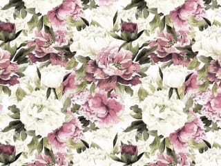 Fototapeta Piwonie na białym tle ( kod: 24487 ) Fototapeta Piwonie na białym tle