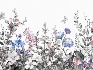 Fototapeta Kwiaty polne na białym tle