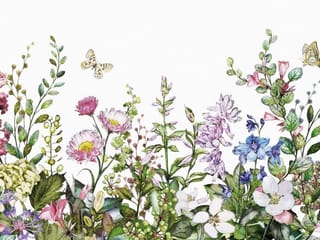 Fototapeta Kwiaty polne w stonowanych barwach
