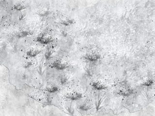 Fototapeta Abstrakcyjne Kwiaty na Betonie