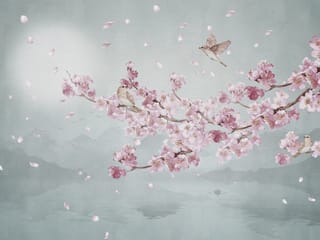 Fototapeta Gałąź Wiśni nad Jeziorem ( kod: 25802 ) Fototapeta Gałąź Wiśni nad Jeziorem