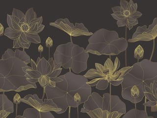 Fototapeta Kwiaty lotosu na ciemnym tle