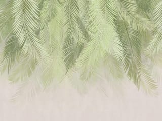 Fototapeta Zielone liście palmowe na jasnym tle