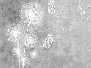 Fototapeta Dmuchawce na szarym tle ( kod: 26667 ) Fototapeta Dmuchawce na szarym tle