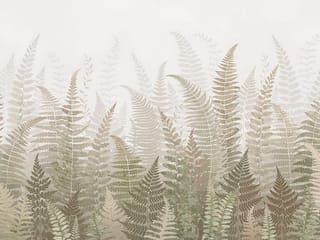 Fototapeta Zielone liście paproci na jasnym tle ( kod: 27068 ) Fototapeta Zielone liście paproci na jasnym tle