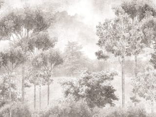 Fototapeta Spokojny las z wysokimi drzewami ( kod: 27077 ) Fototapeta Spokojny las z wysokimi drzewami