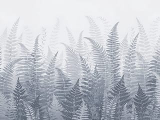 Fototapeta Gęste Paprocie w Szarościach ( kod: 27078 ) Fototapeta Gęste Paprocie w Szarościach