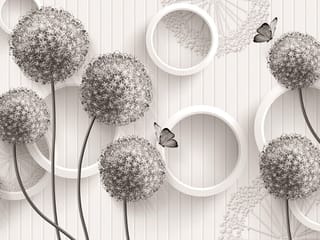Fototapeta Kwiaty 3D z okrągłymi główkami