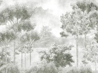 Fototapeta Leśne drzewa w mglistej aurze ( kod: 27081 ) Fototapeta Leśne drzewa w mglistej aurze