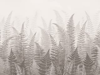 Fototapeta Gęste liście paproci na tle ( kod: 27082 ) Fototapeta Gęste liście paproci na tle