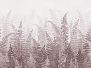 Fototapeta Gęsta Kompozycja Paproci