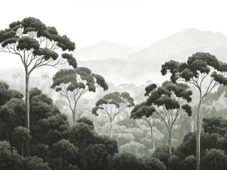 Fototapeta Wysokie drzewa w gęstym lesie