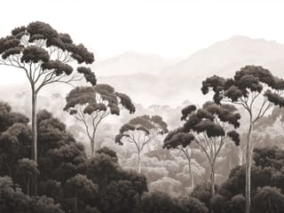 Fototapeta Leśne Drzewa i Mgła