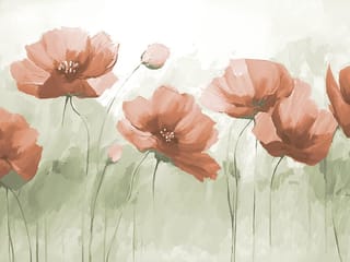 Fototapeta Czerwone maki na zielonym tle ( kod: 27115 ) Fototapeta Czerwone maki na zielonym tle