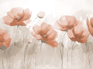 Fototapeta Czerwone maki na jasnym tle, czerwony ( kod: 27116 ) Fototapeta Czerwone maki na jasnym tle, czerwony