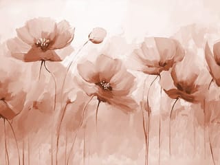 Fototapeta Maki na długich łodygach ( kod: 27117 ) Fototapeta Maki na długich łodygach