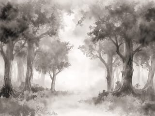 Fototapeta Mglisty las pełen drzew ( kod: 27123 ) Fototapeta Mglisty las pełen drzew