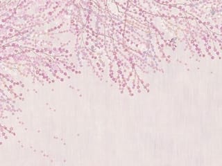 Fototapeta Sakura z różowymi kwiatami