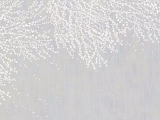 Fototapeta Sakura – delikatne kwiaty na gałęziach