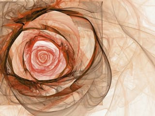 Fototapeta Abstrakcyjny wzór róży