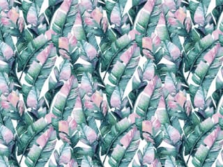 Fototapeta Tropikalne liście w pastelach