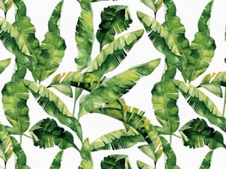 Fototapeta Zielone liście bananowca