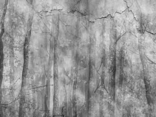 Fototapeta Czarno-białe drzewa w lesie ( mpn: 7086 ) Fototapeta Czarno-białe drzewa w lesie