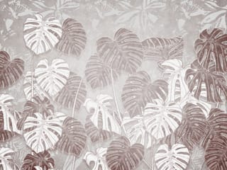 Fototapeta Monstera w stonowanych odcieniach