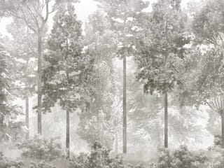 Fototapeta Leśne drzewa z mgłą i krzewami