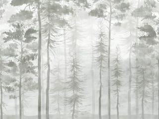 Fototapeta Spokojny Las z Wysokimi Drzewami ( mpn: 7584 ) Fototapeta Spokojny Las z Wysokimi Drzewami